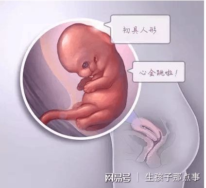 冷冻室